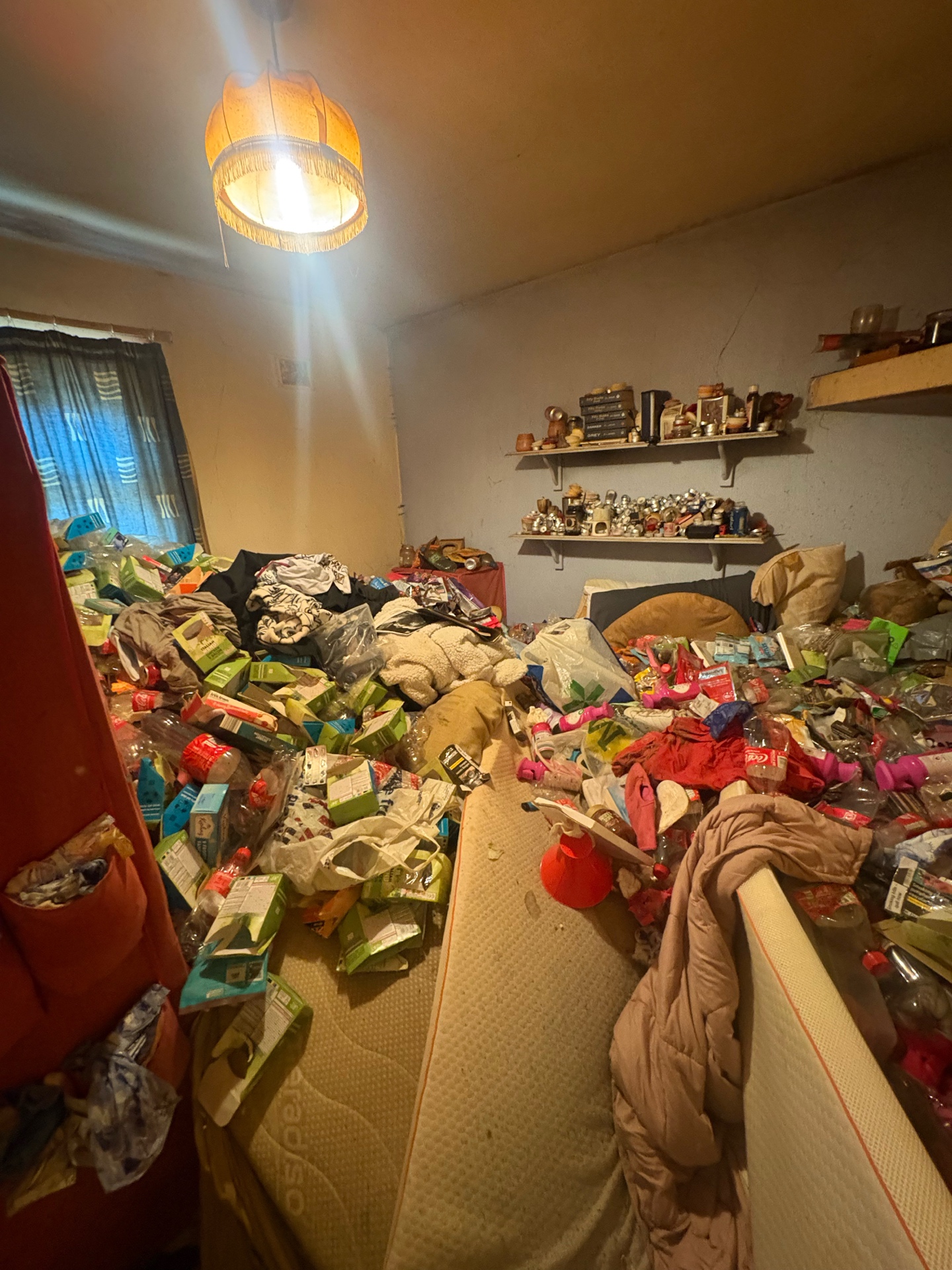 Hoarding clearance — bedroom floor-to-ceiling with debris and collectibles