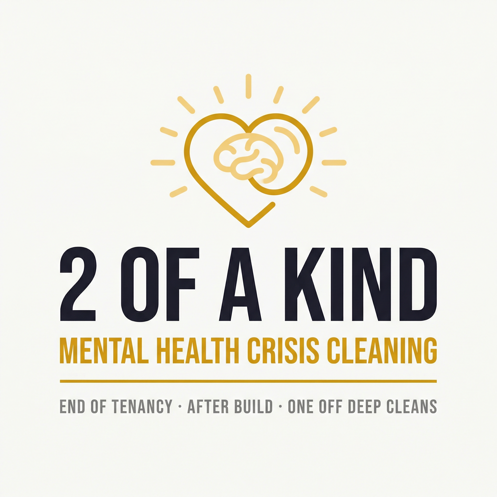 2 of a Kind Mental Health Crisis Cleaning