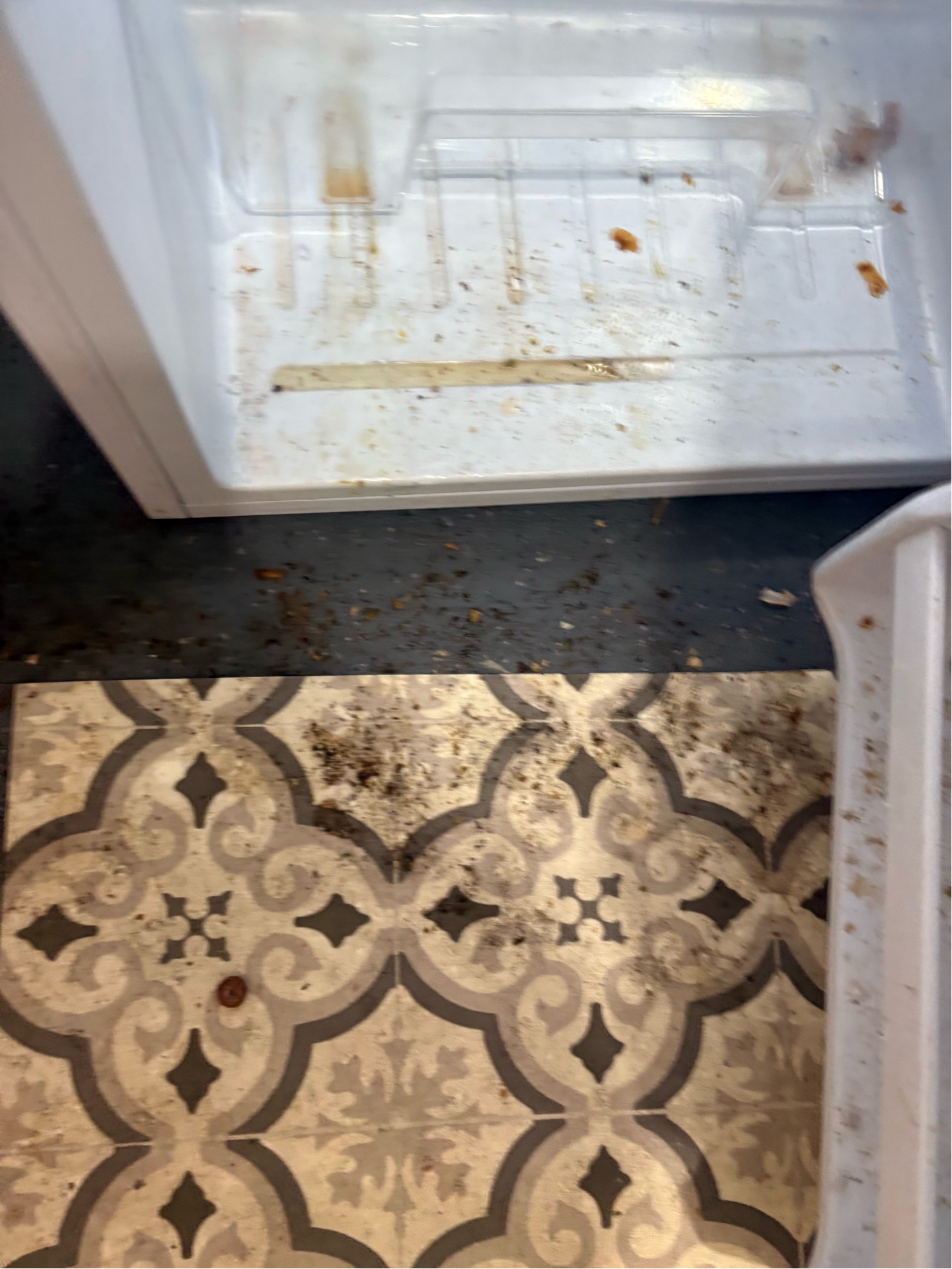 Contaminated fridge and floor before cleaning